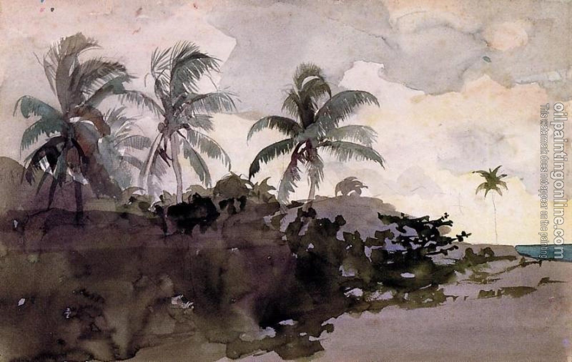 Homer, Winslow - Coconut Palms